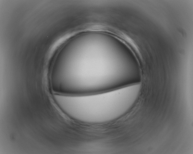 X0000114531464200910191000