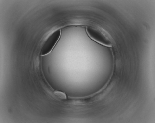 X0000114531465200910191000