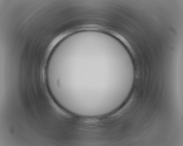 X0000114531466200910191000
