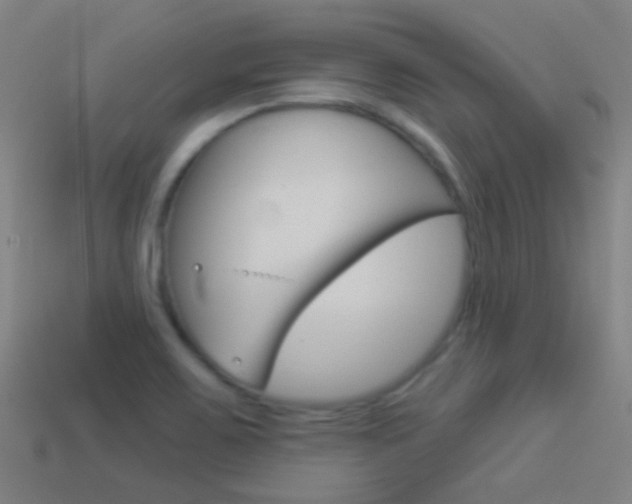 X0000114531467200910191000
