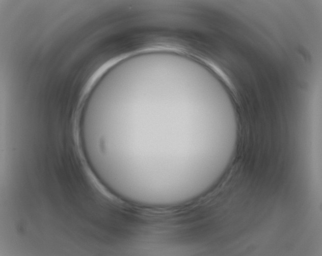 X0000114531468200910191000