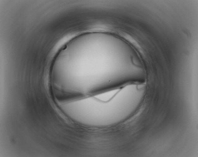 X0000114531469200910191000
