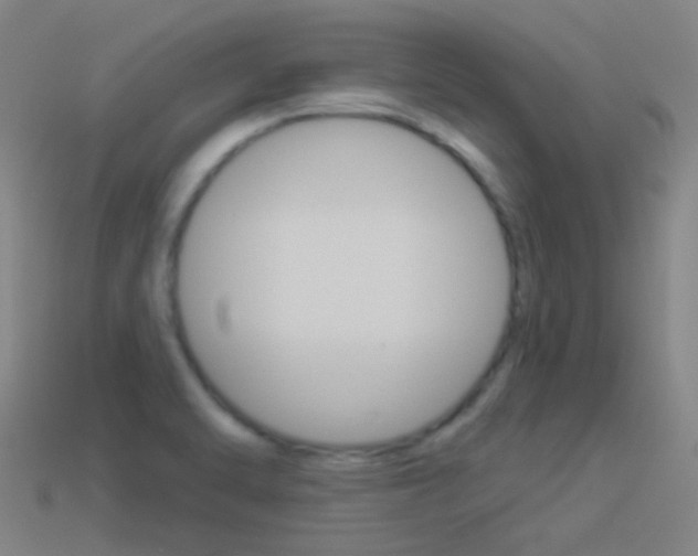 X0000114531470200910191000