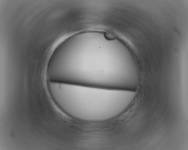 X0000114531471200910191000