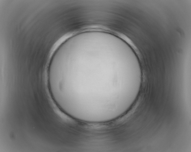 X0000114531474200910191000