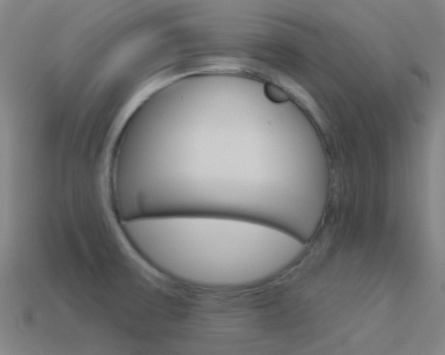 X0000114531475200910191000