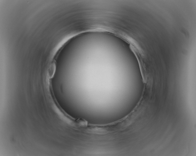 X0000114531476200910191000