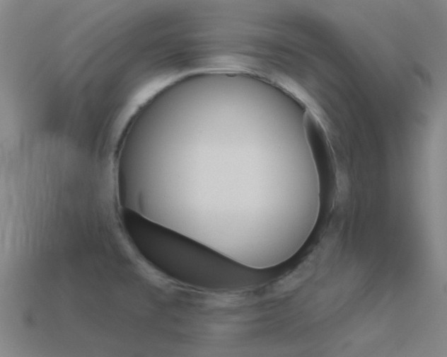 X0000114531477200910191000