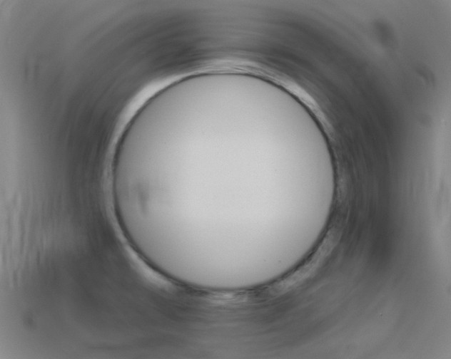 X0000114531478200910191000