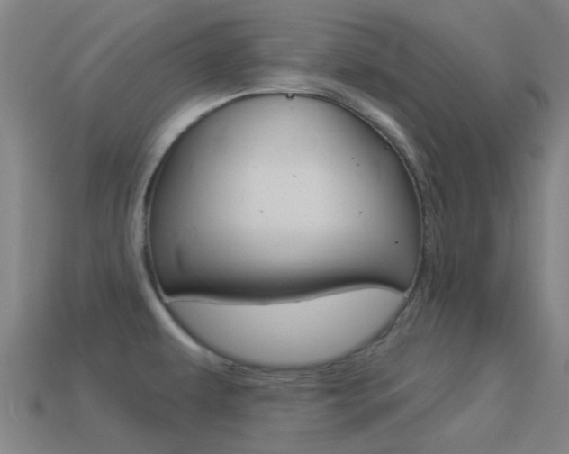 X0000114531479200910191000