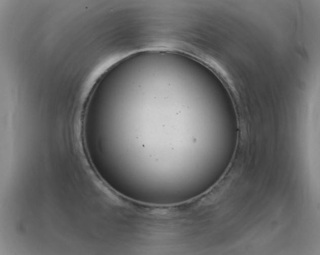 X0000114531480200910191000