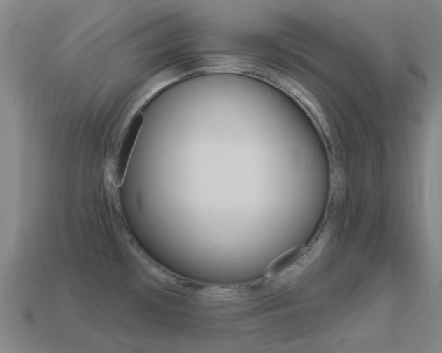 X0000114531481200910191000