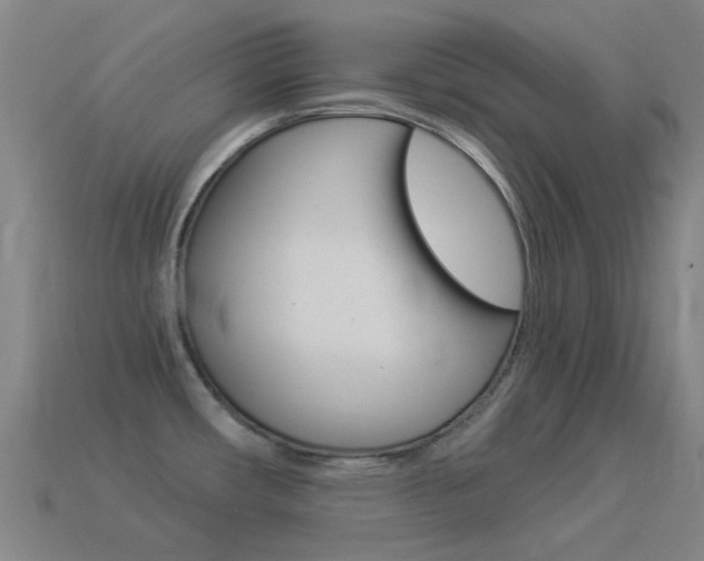 X0000114531482200910191000