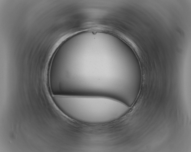 X0000114531483200910191000