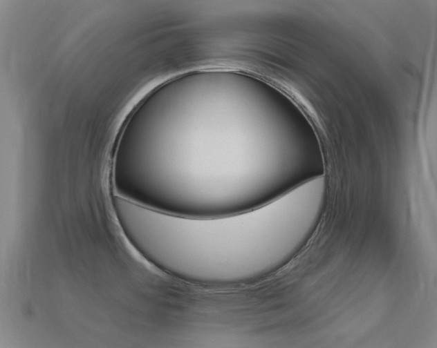 X0000114531484200910191000