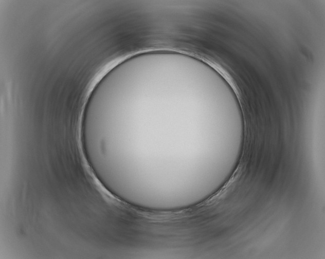 X0000114531485200910191000