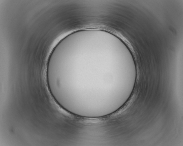 X0000114531486200910191000