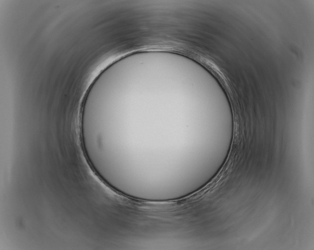 X0000114531487200910191000