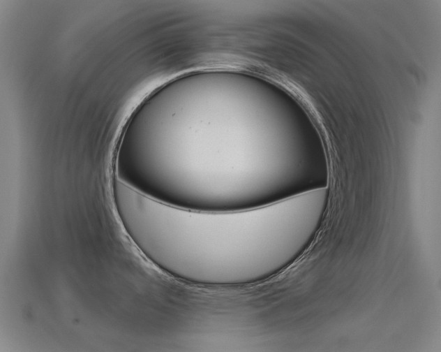 X0000114531488200910191000