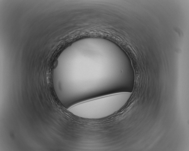 X0000114531490200910190959
