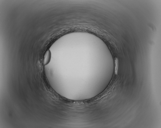 X0000114531491200910190959
