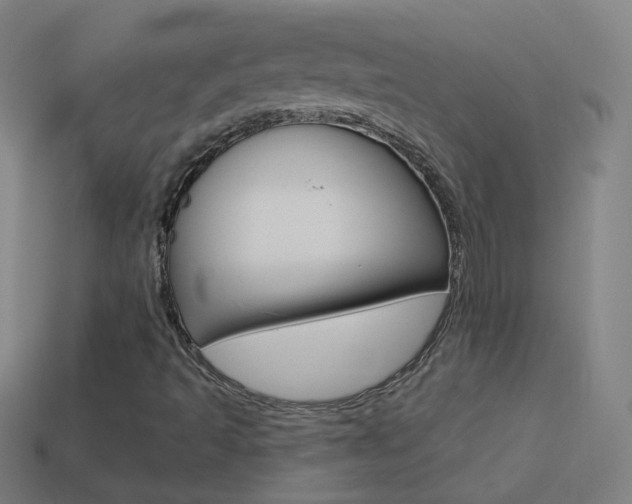 X0000114531493200910190959