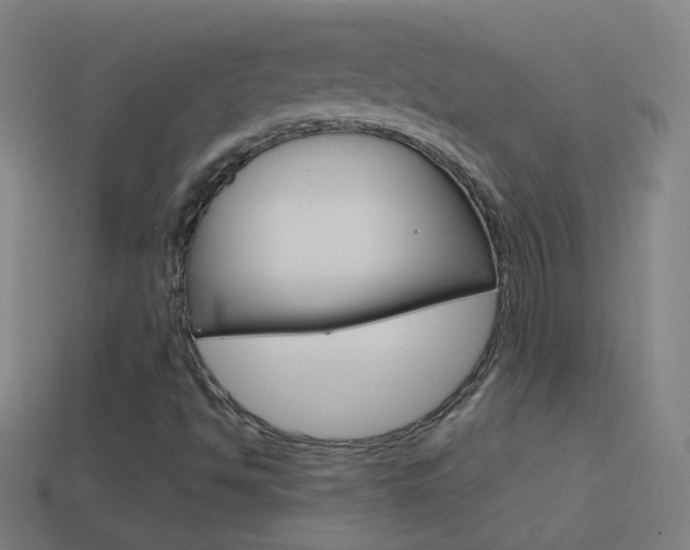 X0000114531494200910190959