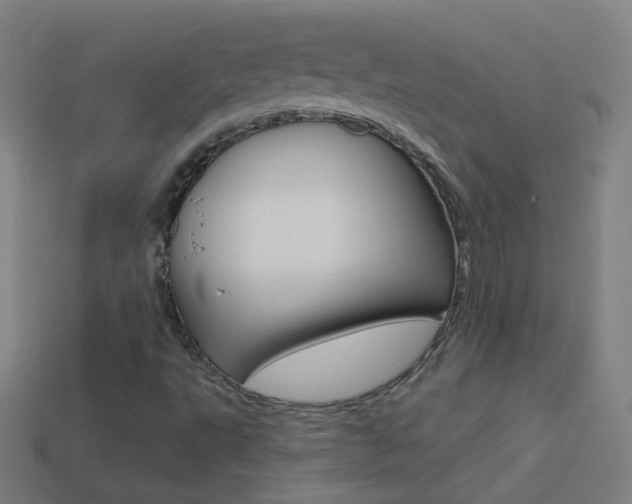 X0000114531495200910190959