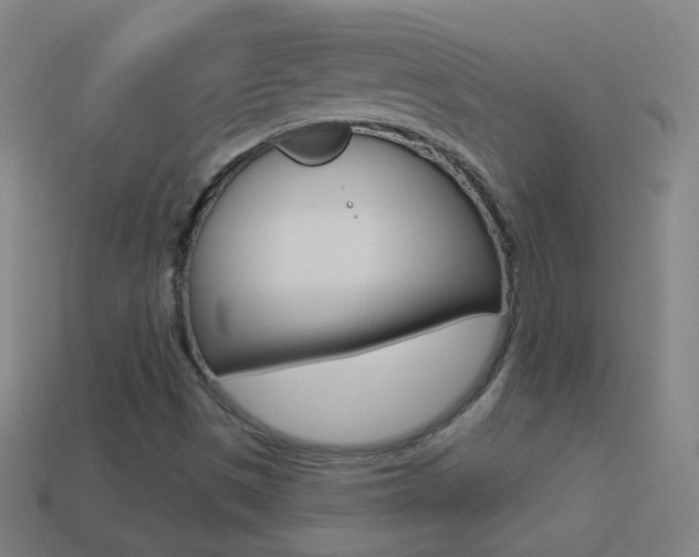 X0000114531497200910190959