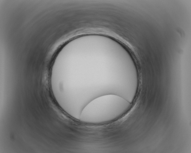X0000114531498200910190959