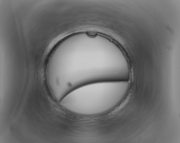 X0000114531501200910190959