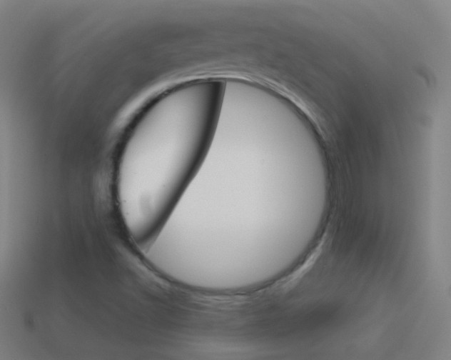 X0000114531502200910190959