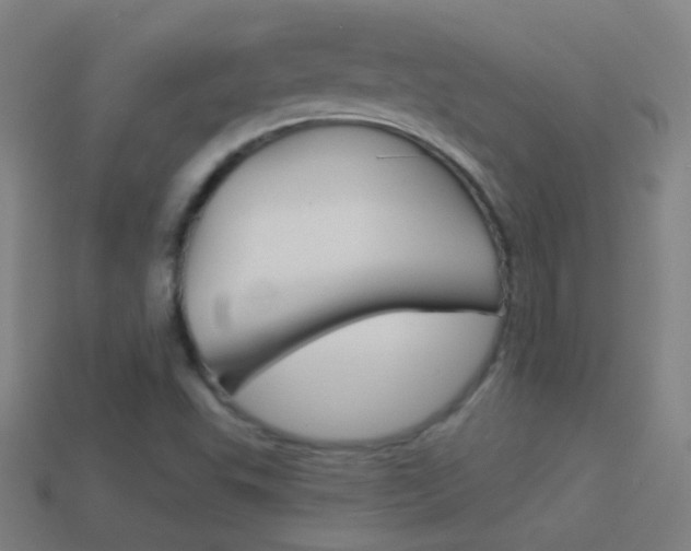 X0000114531503200910190959