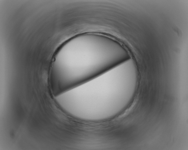 X0000114531505200910190959