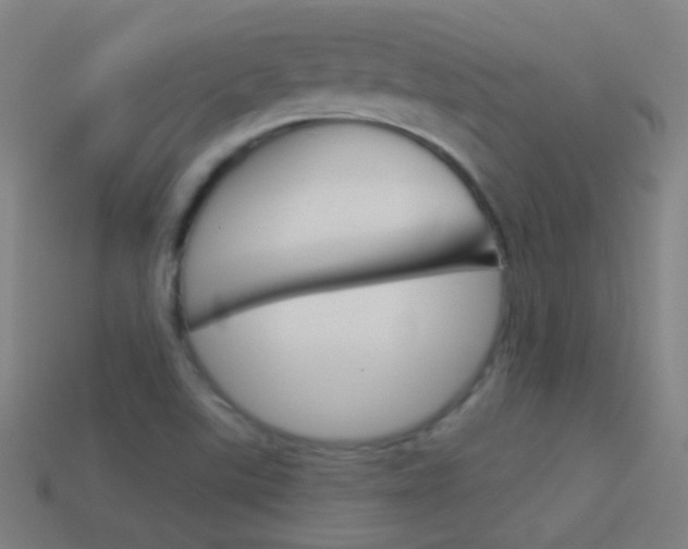 X0000114531507200910190959