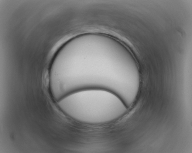 X0000114531509200910191000