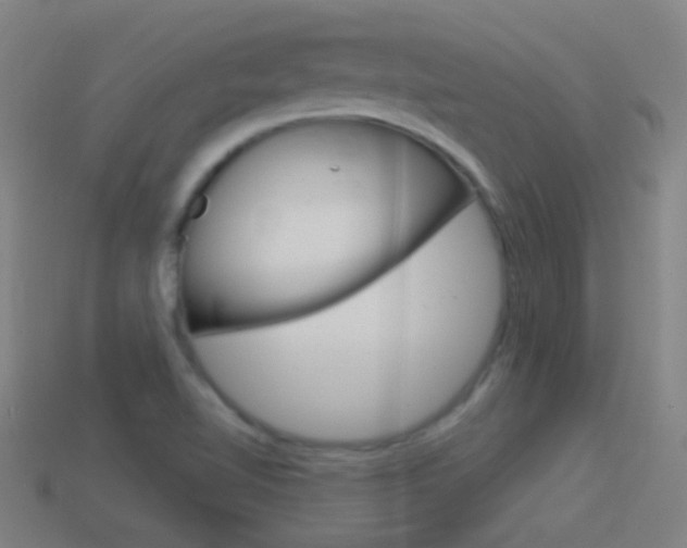 X0000114531510200910191000