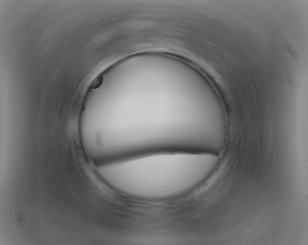 X0000114531513200910191000