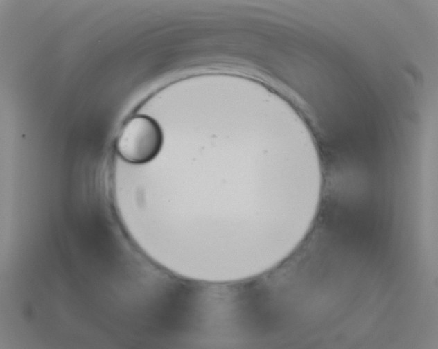 X0000114531514200910191000