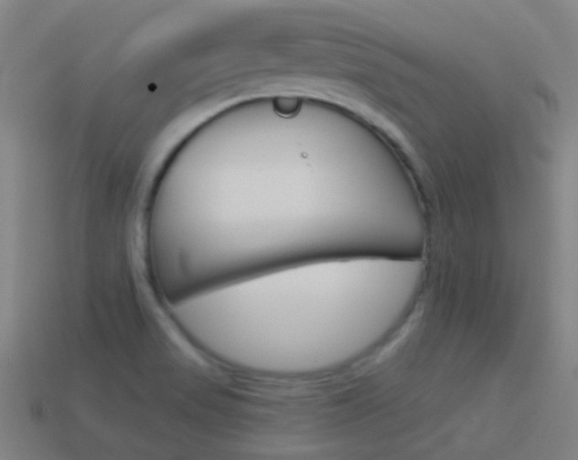 X0000114531517200910191000
