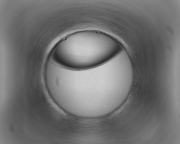 X0000114531518200910191000