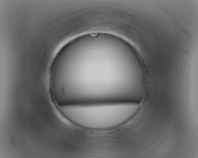 X0000114531519200910191000