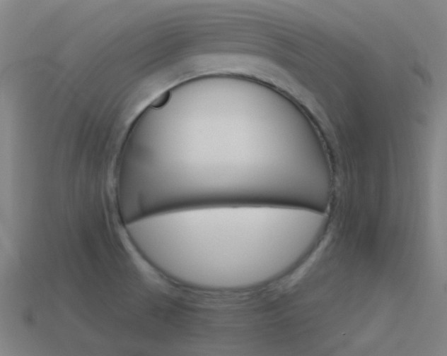 X0000114531521200910191000