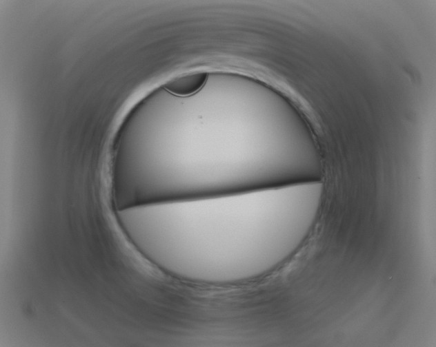 X0000114531522200910191000