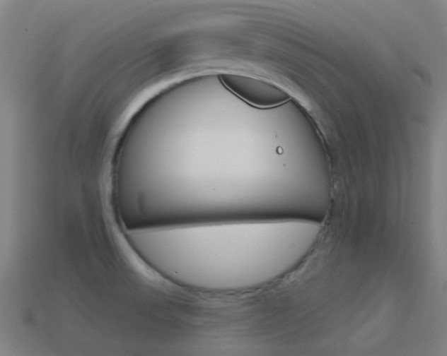 X0000114531523200910191000