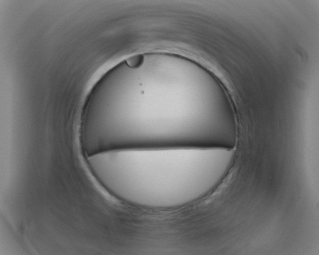 X0000114531525200910191000