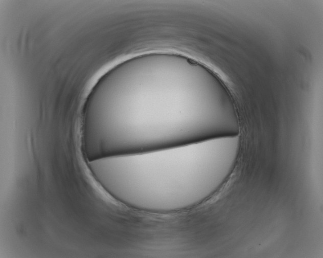X0000114531526200910191000