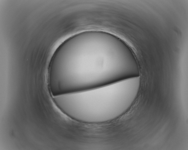 X0000114531527200910191000