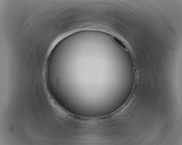 X0000114531530200910191000