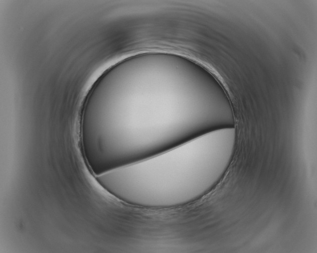 X0000114531531200910191000